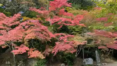 地藏院(京都府)