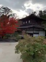 慈照寺（慈照禅寺・銀閣寺）の本殿