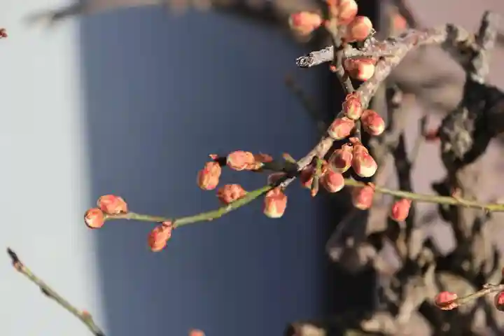 大鏑神社の庭園