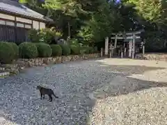 阿志都彌神社・行過天満宮の動物