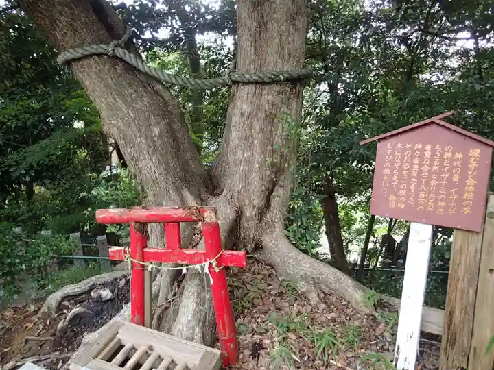 大鷲神社の自然