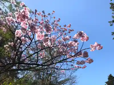 霧島神宮(鹿児島県)