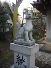 椎木稲荷神社の狛犬