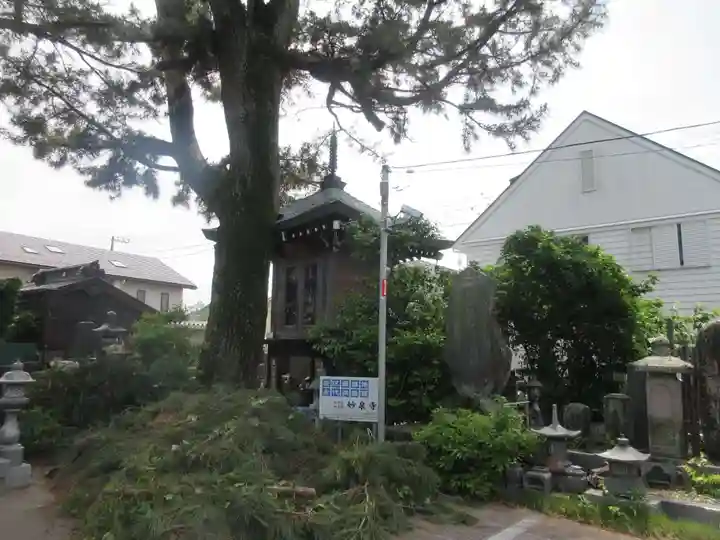 妙泉寺(神奈川県)