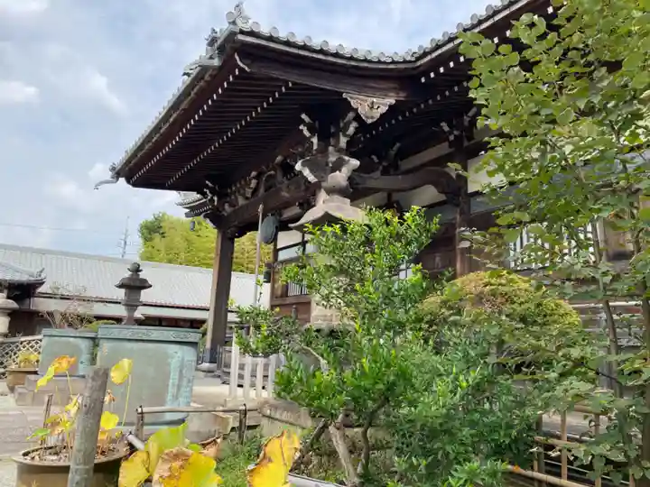 妙蓮寺の本殿・本堂