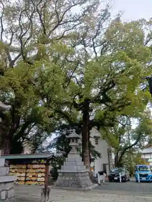 加納天満宮(岐阜県)