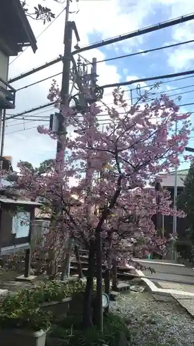 御霊神社の自然