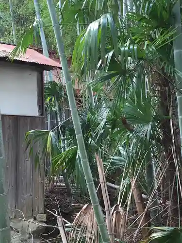 宗賢神社の自然
