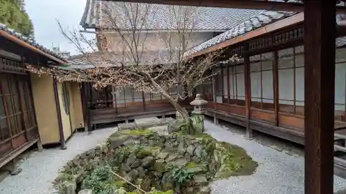興聖寺(京都府)