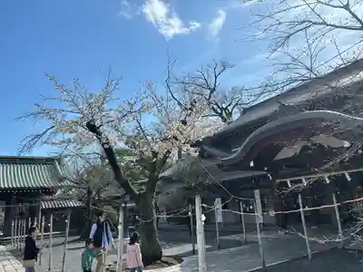 三嶋大社(静岡県)
