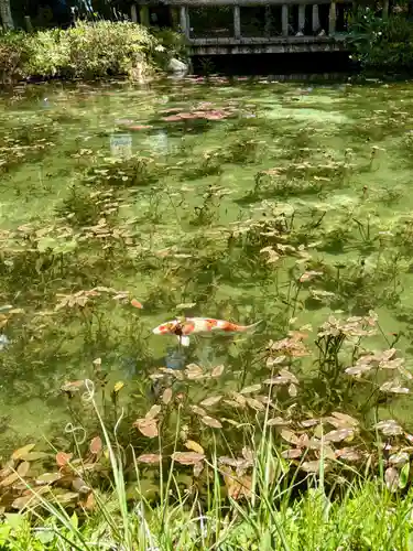 根道神社(岐阜県)