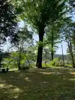 天照神社の自然