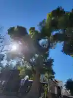 三島大明神社(愛媛県)