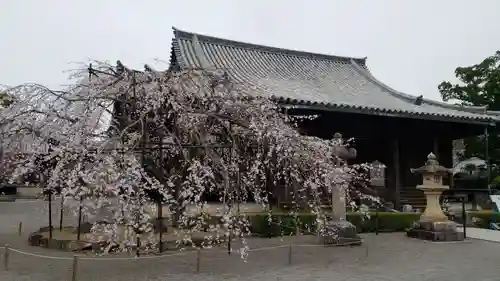 道成寺の庭園