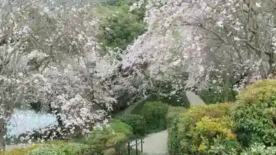 大神神社(奈良県)