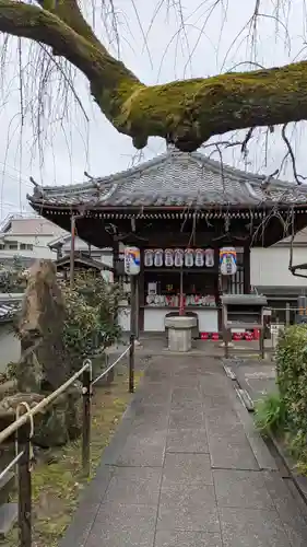 地蔵院（椿寺）(京都府)