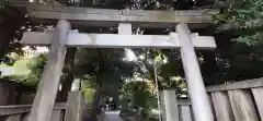 渋谷氷川神社の鳥居