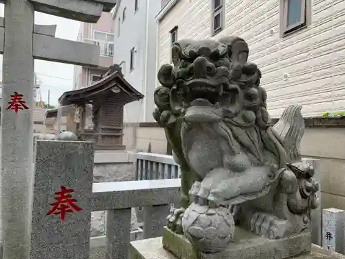 荻窪白山神社の狛犬
