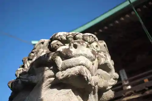 住吉神社の狛犬