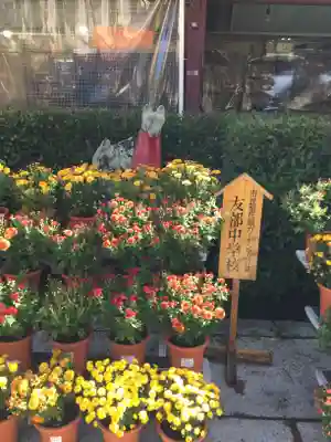 笠間稲荷神社の狛犬