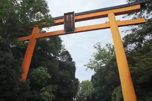 川越氷川神社(埼玉県)