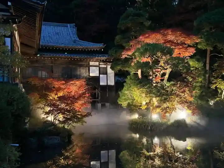 宝登山神社の{uncategorized: "未分類", other: "その他", undefined: "問題あり", building: "その他建物", grave: "お墓", sacred_gate: "鳥居", guardian: "狛犬", statue: "像", buddha: "仏像", history: "歴史", nature: "自然", garden: "庭園", animal: "動物", pagoda: "塔", temizu: "手水舎", mountain_gate: "山門・神門", sanctuary: "本殿・本堂", subordinate: "末社・摂社", art: "芸術", scenery: "景色", jizo: "地蔵", ema: "絵馬", goshuin: "御朱印", omikuji: "おみくじ", items: "授与品その他", amulet: "お守り", goshuincho: "御朱印帳", eats: "食事", festival: "お祭り", votive_dance: "神楽", shichigosan: "七五三参", wedding: "結婚式", experience: "体験その他", initially: "初詣", around: "周辺", anti_infection: "感染症対策"}
