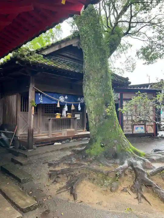 青井阿蘇神社(熊本県)