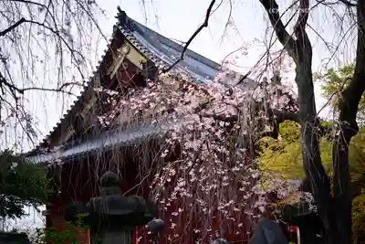 清水観音堂のその他建物