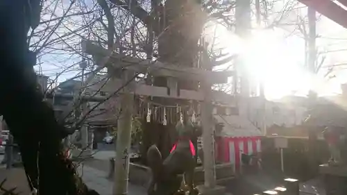 飛木稲荷神社の鳥居