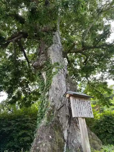 中山神社(岡山県)