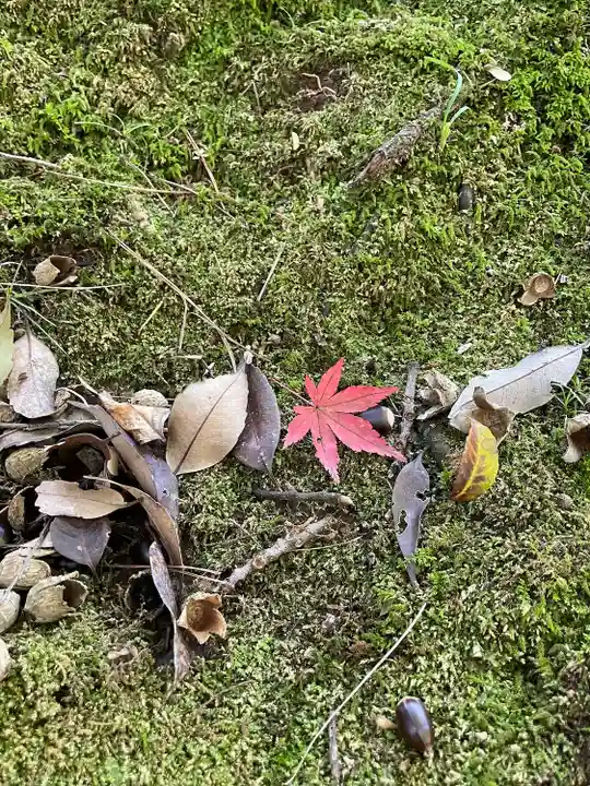 成田山新勝寺の自然