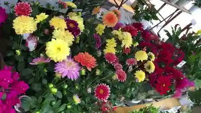 浅草富士浅間神社の周辺