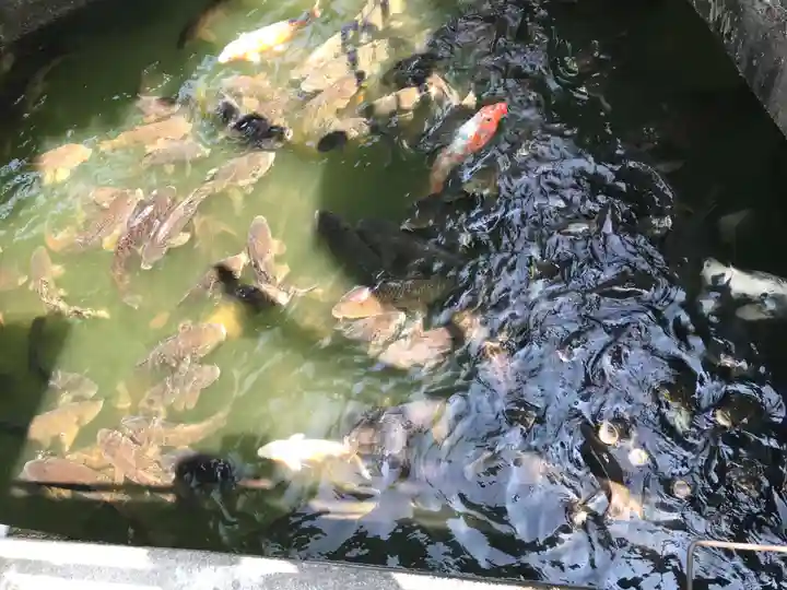 八大白龍大神(岐阜県)