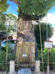 丹生神社(兵庫県)