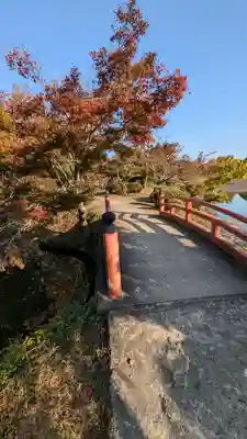 大覚寺(京都府)