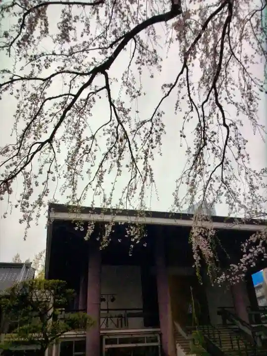 常圓寺(東京都)