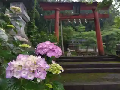 国中神社(福井県)