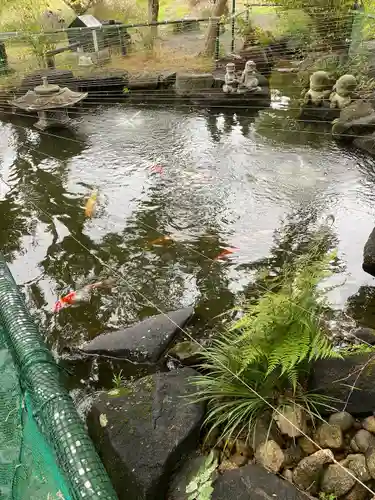 八幡宮(茨城県)