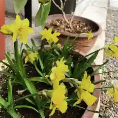 豊景神社の自然