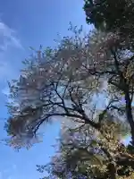 八幡神社(北海道)