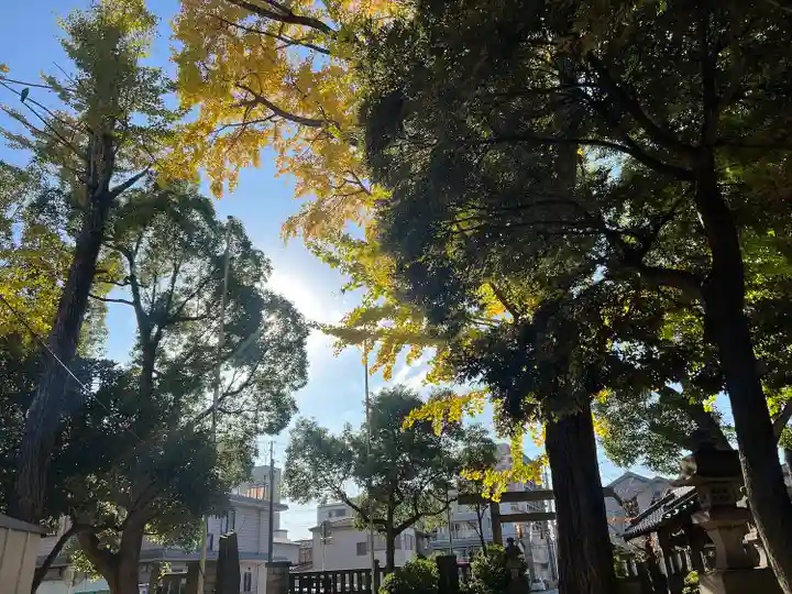 今井神社(千葉県)