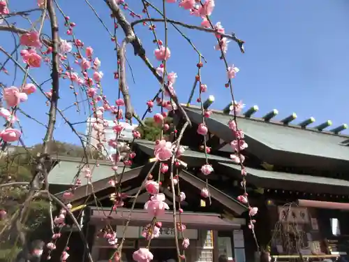 東京大神宮(東京都)