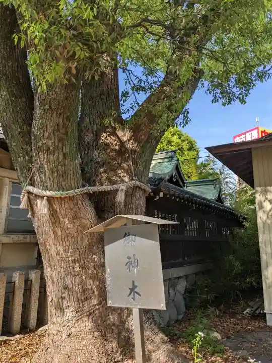 八幡社(四女子八幡社)の{uncategorized: "未分類", other: "その他", undefined: "問題あり", building: "その他建物", grave: "お墓", sacred_gate: "鳥居", guardian: "狛犬", statue: "像", buddha: "仏像", history: "歴史", nature: "自然", garden: "庭園", animal: "動物", pagoda: "塔", temizu: "手水舎", mountain_gate: "山門・神門", sanctuary: "本殿・本堂", subordinate: "末社・摂社", art: "芸術", scenery: "景色", jizo: "地蔵", ema: "絵馬", goshuin: "御朱印", omikuji: "おみくじ", items: "授与品その他", amulet: "お守り", goshuincho: "御朱印帳", eats: "食事", festival: "お祭り", votive_dance: "神楽", shichigosan: "七五三参", wedding: "結婚式", experience: "体験その他", initially: "初詣", around: "周辺", anti_infection: "感染症対策"}