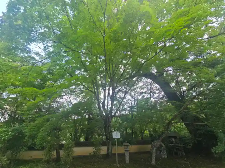 十輪寺(京都府)