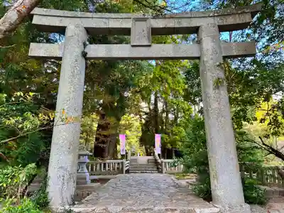 櫻井神社(福岡県)