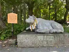 冨士御室浅間神社(山梨県)