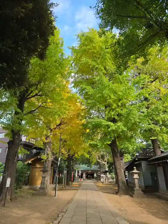 駒込天祖神社(東京都)