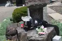 大松禅寺(京都府)