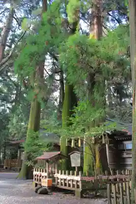 高千穂神社(宮崎県)