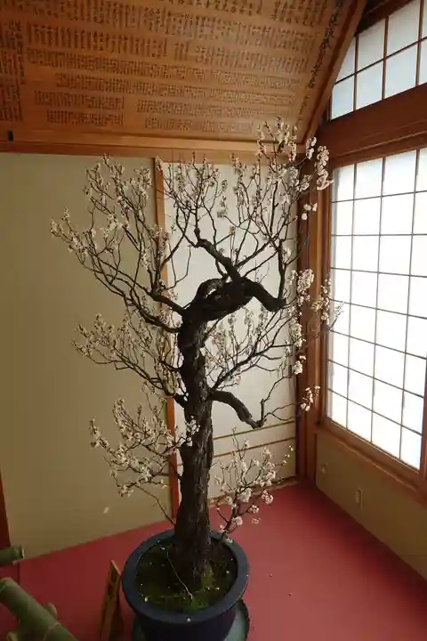 菅原天満宮(菅原神社)(奈良県)